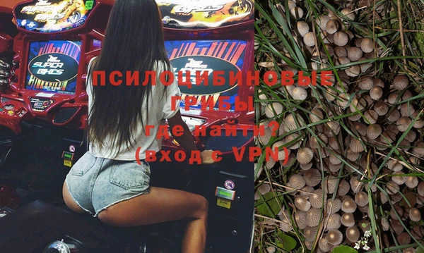 молекула духа Куйбышев