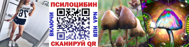Галлюциногенные грибы прущие грибы  купить наркоту  блэк спрут сайт  Щигры 